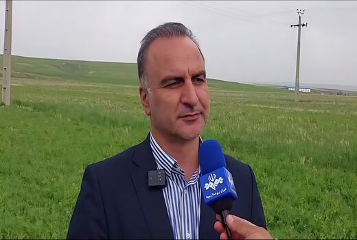 خرید تضمینی ۱.۷ میلیون تن گندم در کشور