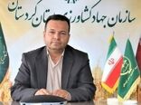 زمزمه‌های خرید تضمینی بیش از یک میلیون تن گندم در کردستان