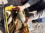 صید ماهی گرمابی از استخرهای دو منظوره ذخیره آب کشاورزی بشرویه