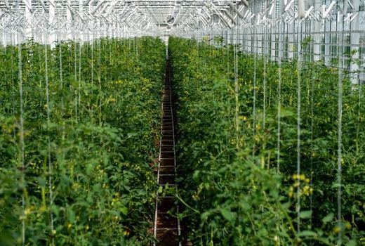 تامین تسهیلات کشاورزی، خواسته اصلی استان خراسان جنوبی