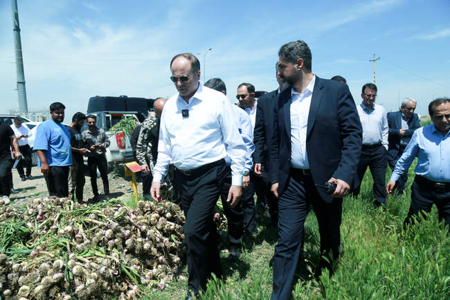  سفر وزیر جهاد کشاورزی به اردبیل 