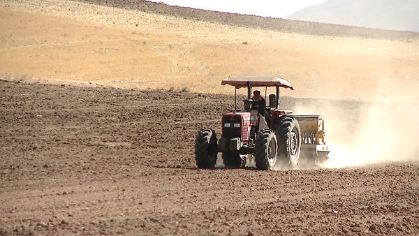 پاییز فصل طلایی کشاورزی ایران در دل کم‌آبی است