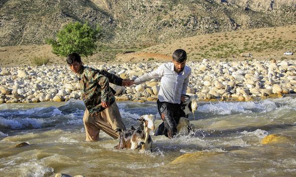 اختصاص ۲ هزار میلیارد تومان برای توسعه راه عشایری کشور