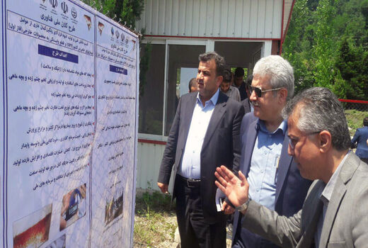 تولید انبوه قزل‌آلای رنگین‌کمان عاری از بیماری آغاز شد