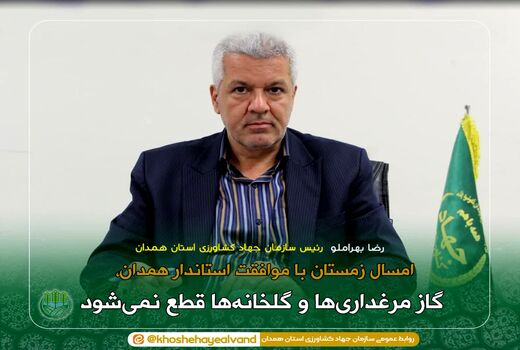 زمستان امسال با موافقت استاندار همدان، گاز مرغداری‌ها و گلخانه‌ها قطع نمی‌شود