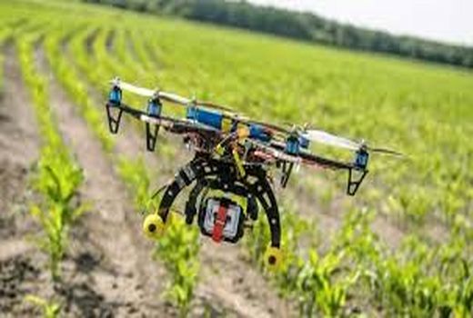 تقویت فناوری‌های دانش‌بنیان در حوزه کشاورزی استان سمنان