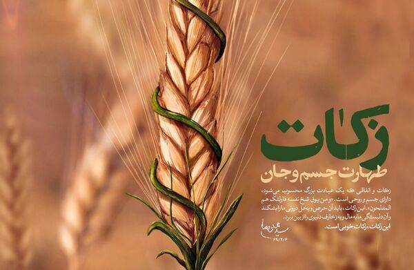 تلاش می کنیم فرهنگ زکات در جامعه کشاورزی استان البرز، ترویج و احیا شود