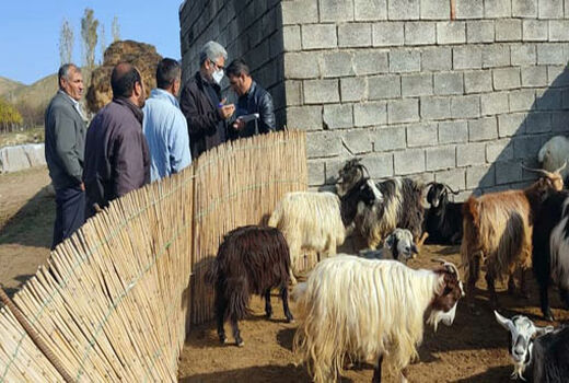 برگزاری برنامه های آموزشی و ترویجی درجهت توانمندسازی بهره برداران کشاورزی در خداآفرین