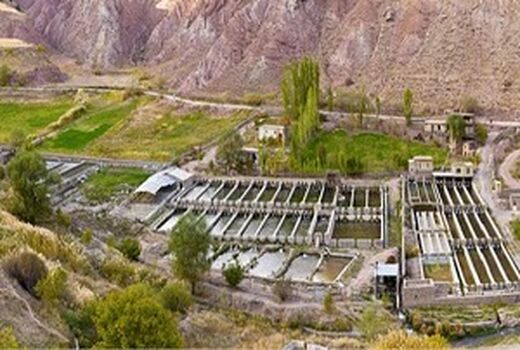 تکمیل زنجیره آبزی پروری گامی در جهت خودکفایی