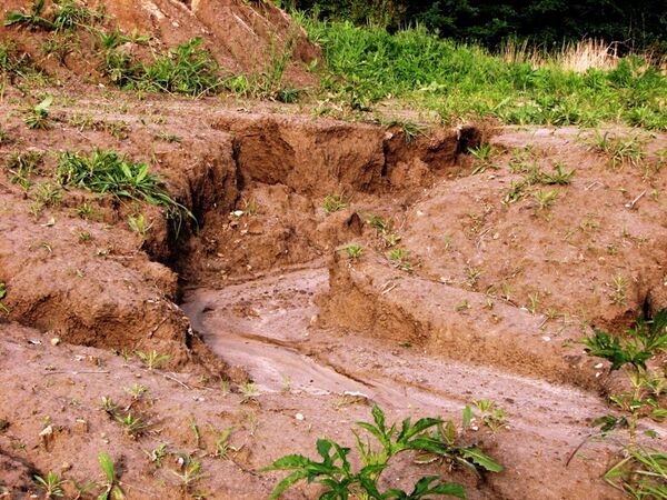 فرسایش خاک از بحرانی‌ترین خطرهای زیست‌محیطی در منطقه غرب آسیا است