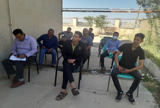 دوره آموزشی کشت و تغذیه کلزا در تاکستان برگزار شد