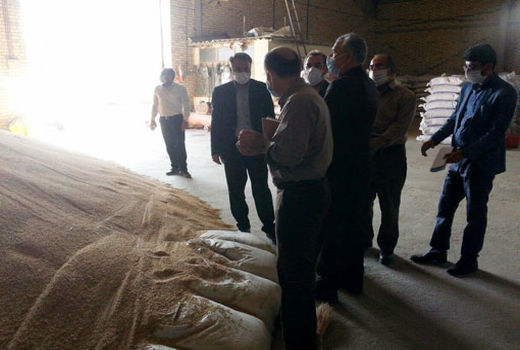 تاکید بر تولید بذور ارقام جدید و پر پتانسیل در برنامه تولید بذر استان آذربایجان شرقی  