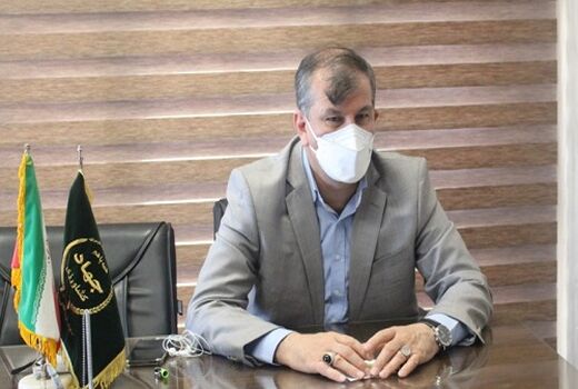 تولید بذور هیبرید در اراضی آستان مقدس شاهچراغ (ع)