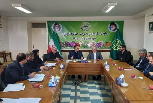 تأکید بر بهبود تأمین کالاهای اساسی و حمایت از تولید مرغ در جلسه ستاد تنظیم بازار شهرستان مراغه 
