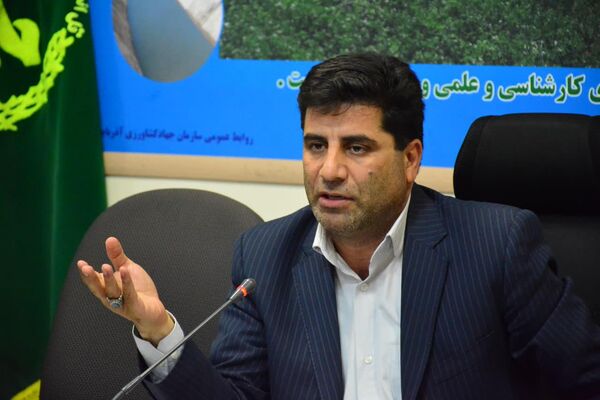  مطالبات گندم کاران استان آذربایجان شرقی پرداخت شد
