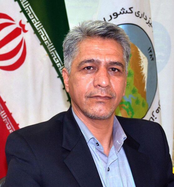 افزایش خرید گندم در استان سمنان
