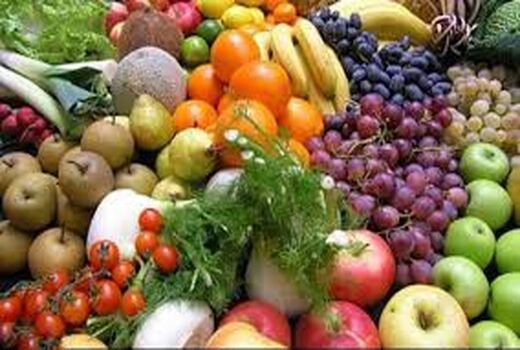 فروش ۱۶۵۸ میلیارد تومانی محصولات زراعی خراسان شمالی