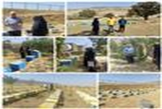 آمار برداری از زنبورستان های شهرستان چرداول آغاز شد.