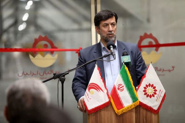 صادرات مرغ مازاد به شرط تامین نیاز داخل