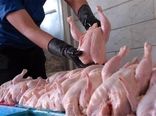 تولید سالانه بیش از 800 تن گوشت مرغ