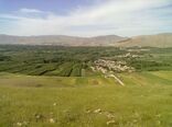 کشاورزی همدان؛ از دامنه‌های الوند تا سفره‌های جهان