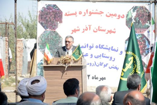  تولید 1800 تن پسته از 2 هزار و 238 هکتار باغات آذربایجان شرقی