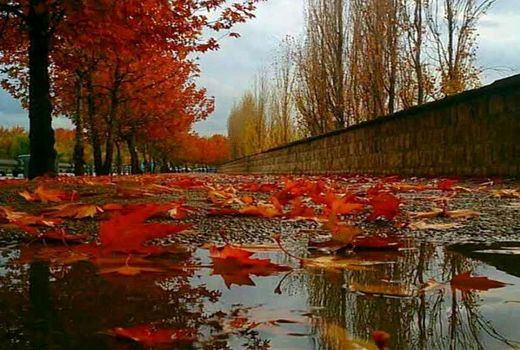 باران‌های پاییزی در راه است 