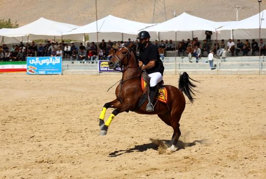 فستیوال سوارکاری در فرخشهر برگزار شد  