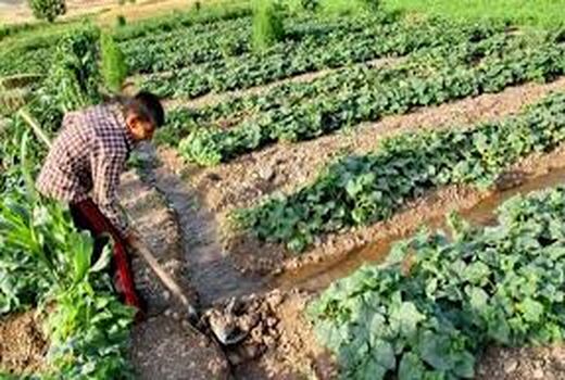 بسته ی آموزشی الگوی کشت ویژه کشاورزان ترویج شد