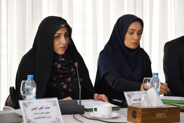 مطالبات گندمکاران تا پایان شهریور پرداخت می‌شود/ تأکید بر هوشمندسازی کشاورزی