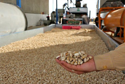 معامله 5 تن پسته در دومین روز کاری در بورس کالا