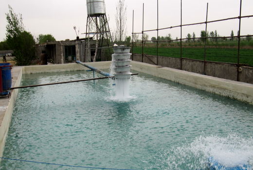 رهاسازی بالغ بر ۱۳۴هزار قطعه بچه ماهی سردابی و گرمابی در استخرهای پرورش ماهی شهرستان البرز