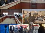 دیدار مدیر کل امور عشایر استان ایلام با فرماندار شهرستان بدره