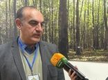 مدیریت بخشی مهم‌ترین خلأ قانونی کشور در رسیدن به خاک سالم است