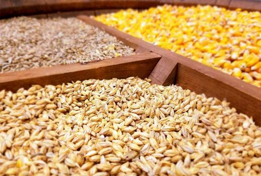 توزیع 920 تن نهاده دامی در مسیر کوچ عشایر چهارمحال و بختیاری