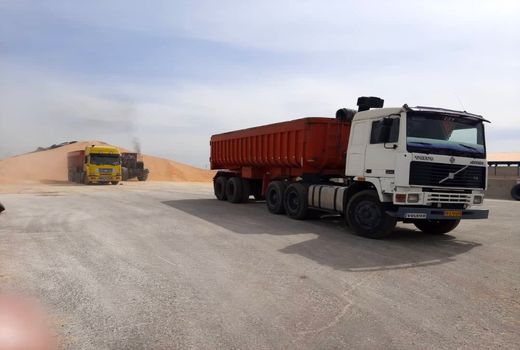 افزایش ۴۵۰۰۰ تنی ظرفیت ذخیره سازی نهاده دامی در استان قزوین