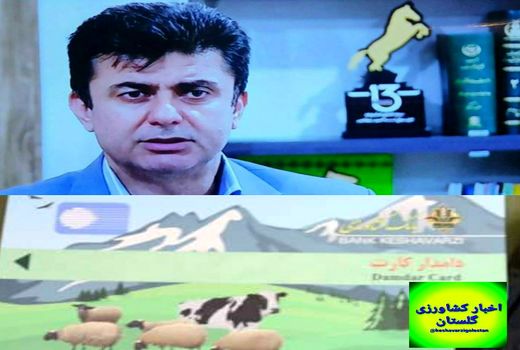 صدور دامدارکارت برای دامداران گلستانی آغاز شد