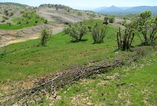 14پلاک از اراضی کشاورزی شهرستان البرز تثبیت مالکیت شد