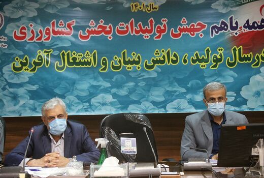 پایداری تولید گندم در طرح جهش تولید در دیمزارهای خوزستان
