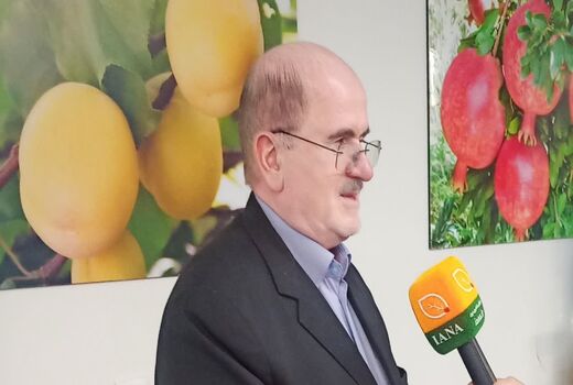 تولید ۱۴۰ میلیون تن مواد غذایی در کشور/خودکفایی ۹۰ درصدی نیازمند تقویت بودجه کشاورزی