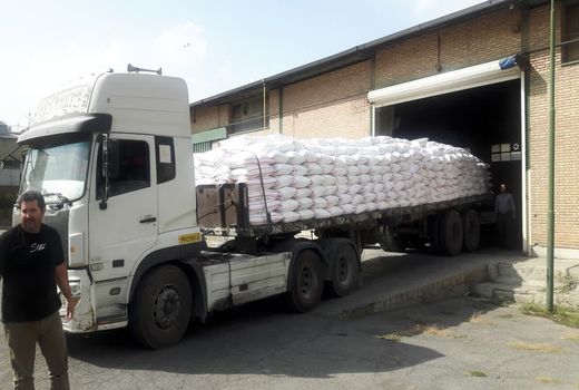 تأمین و توزیع هزار و 109 تن انواع کودهای یارانه‌ای در شهرستان کرج