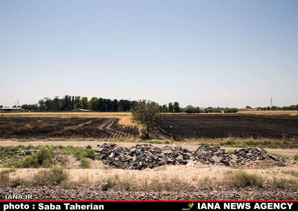 مزرعه سوخته