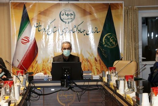 تاکنون ۷۸ درصد سهمیه کود در کردستان جذب شده است
