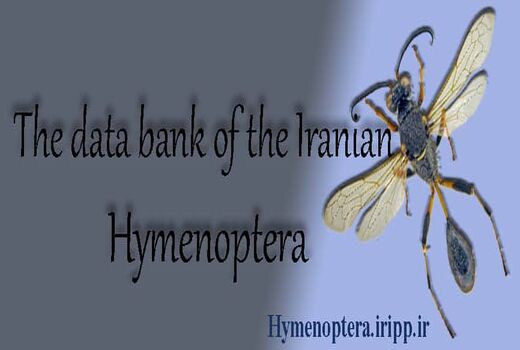 بانک اطلاعاتی بال‌غشاییان ایران راه‌اندازی شد