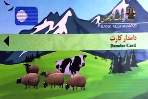 دامداران آذربایجان غربی صاحب دامدار کارت می شوند