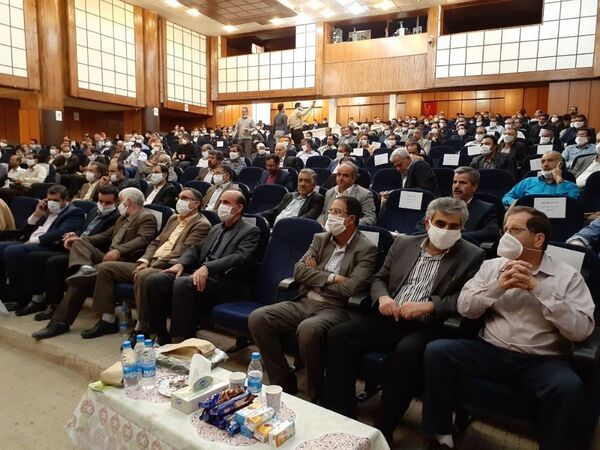 ذخیره ژنتیکی ارزشمند گردو در تویسرکان