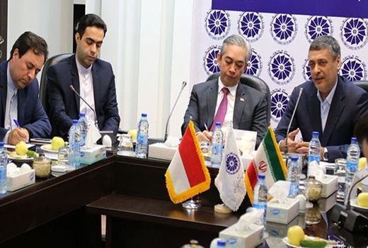 همکاری کرمان و اندونزی در حوزه کائوچو و روغن خوراکی