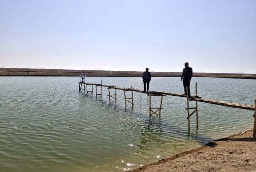 بررسی پیشرفت فیزیکی سه مورد از طرح‌های پرورش میگوی هندیجان