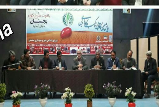 حضور کارآفرین برتر کشوری در شهرستان بجستان