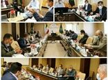 ۵۸۲ هزار هکتار از اراضی کشاورزی کردستان زیرکشت گندم می‌رود
